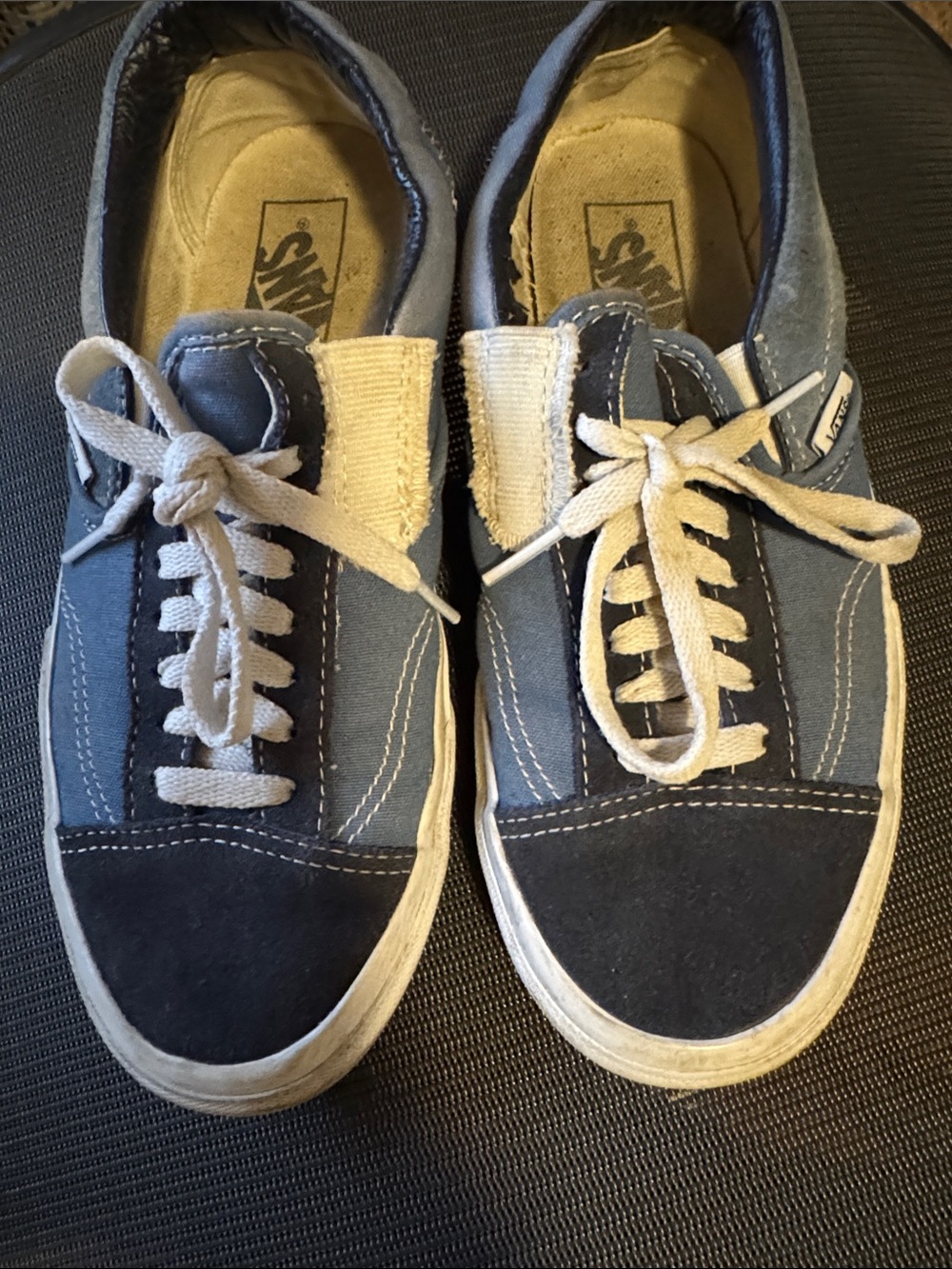 Vans Low-Top Skate Sneakers in Blue and Black